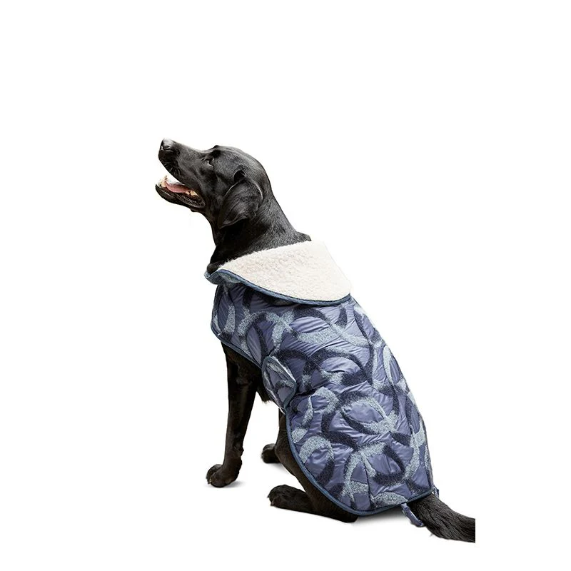 Patron Burda n°6049 : Manteau pour chien - Image 5
