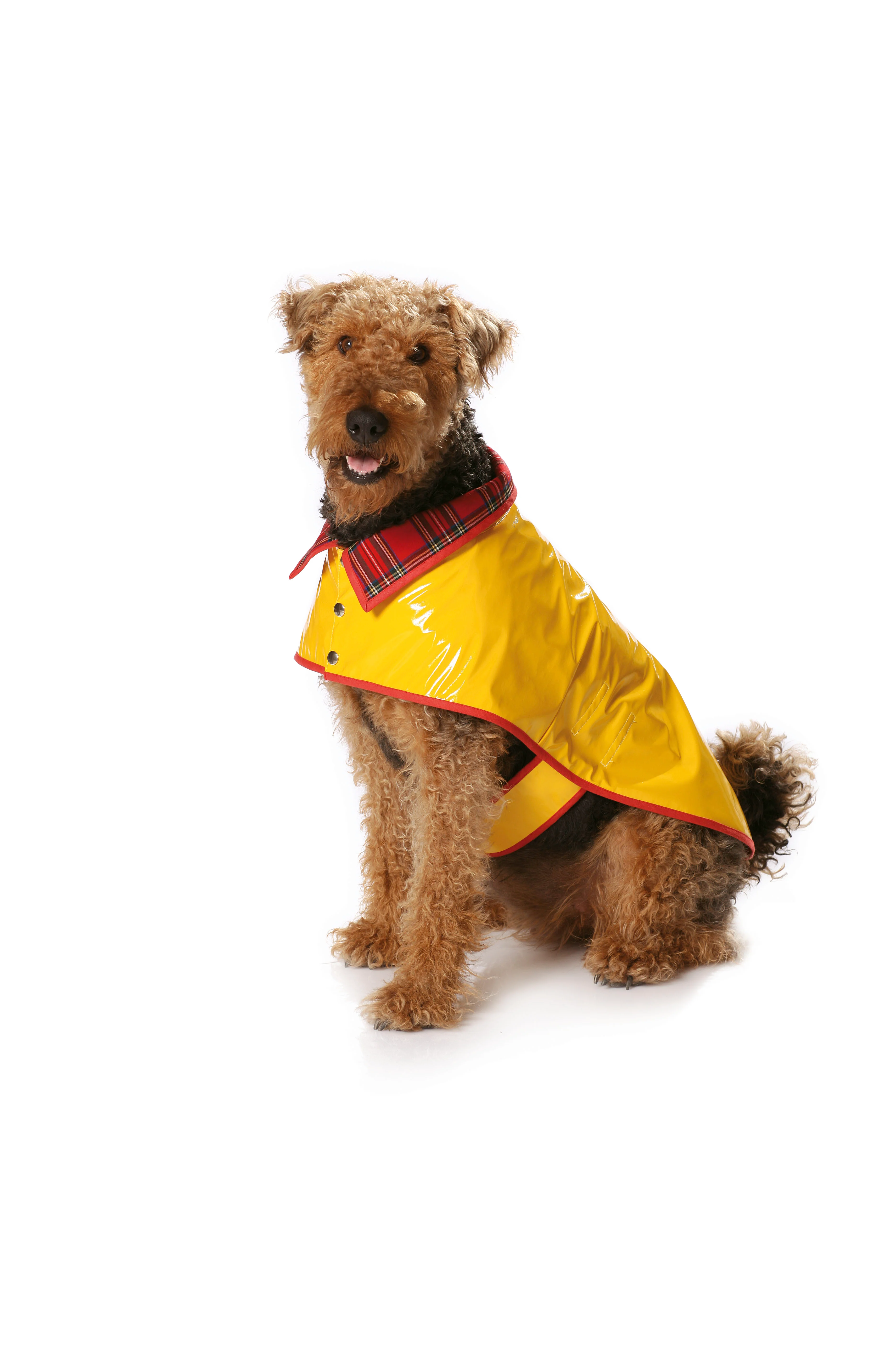 Patron n°7752 : Manteau pour chien - Image 3