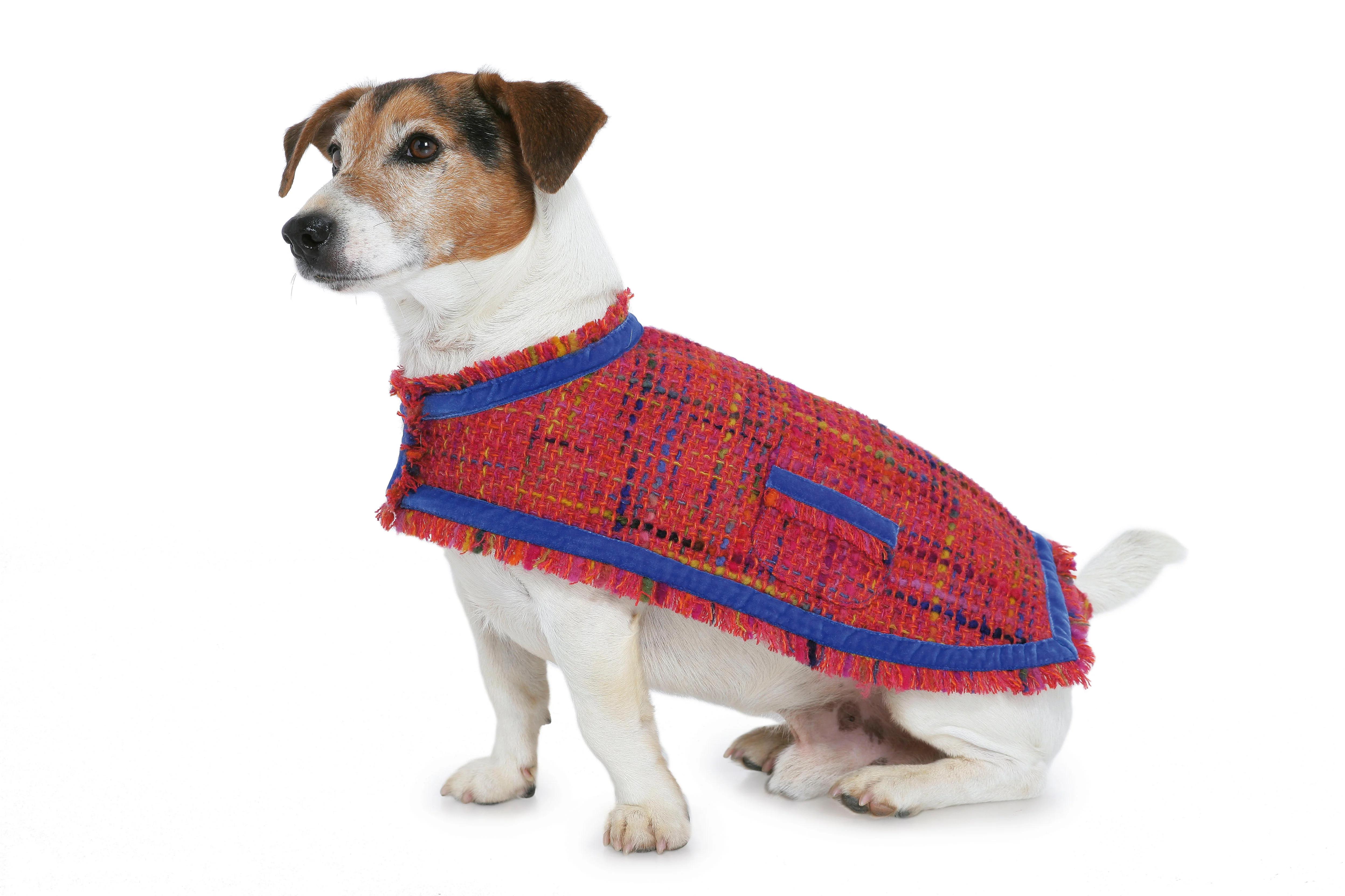 Patron n°7752 : Manteau pour chien - Image 4