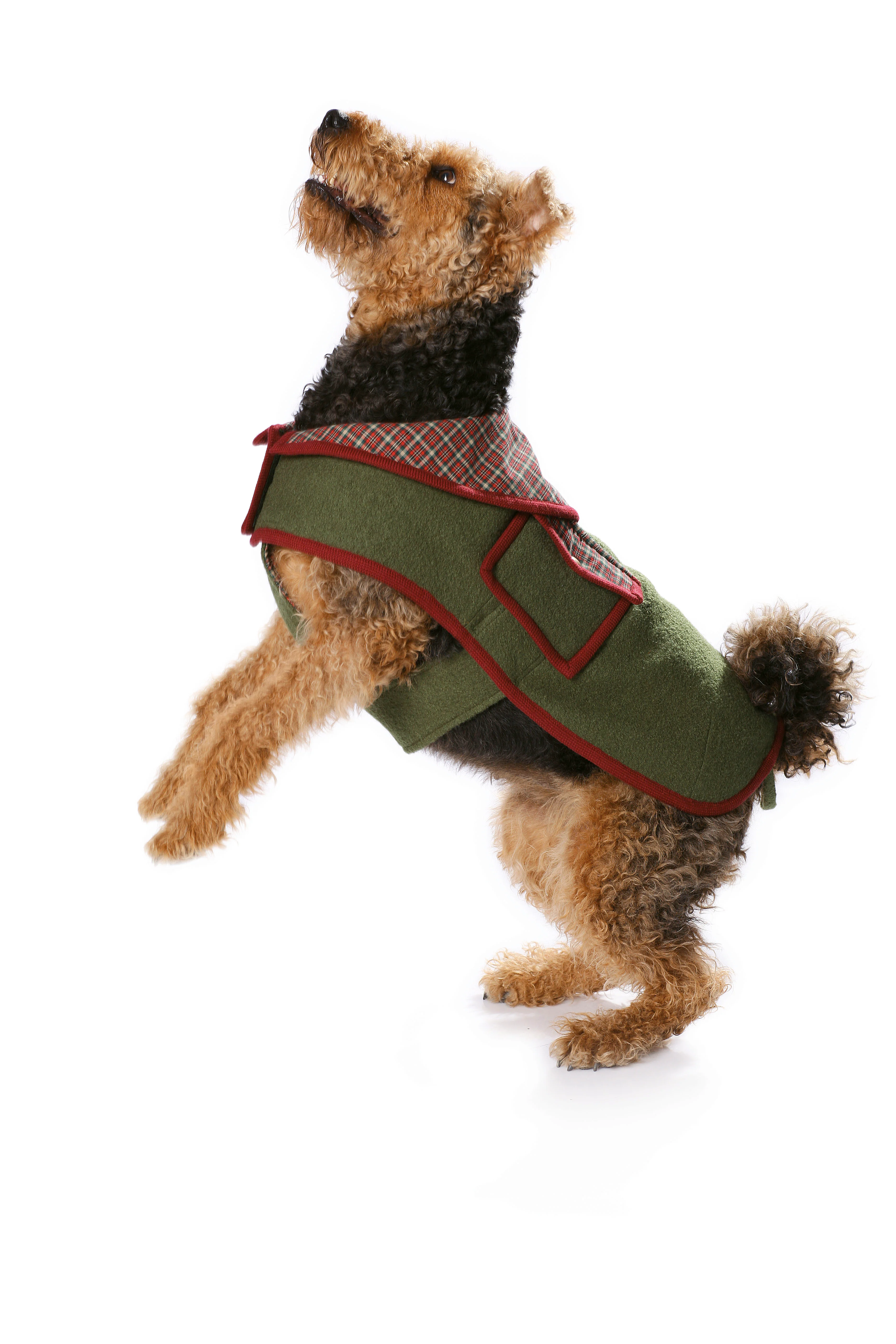Patron n°7752 : Manteau pour chien - Image 6