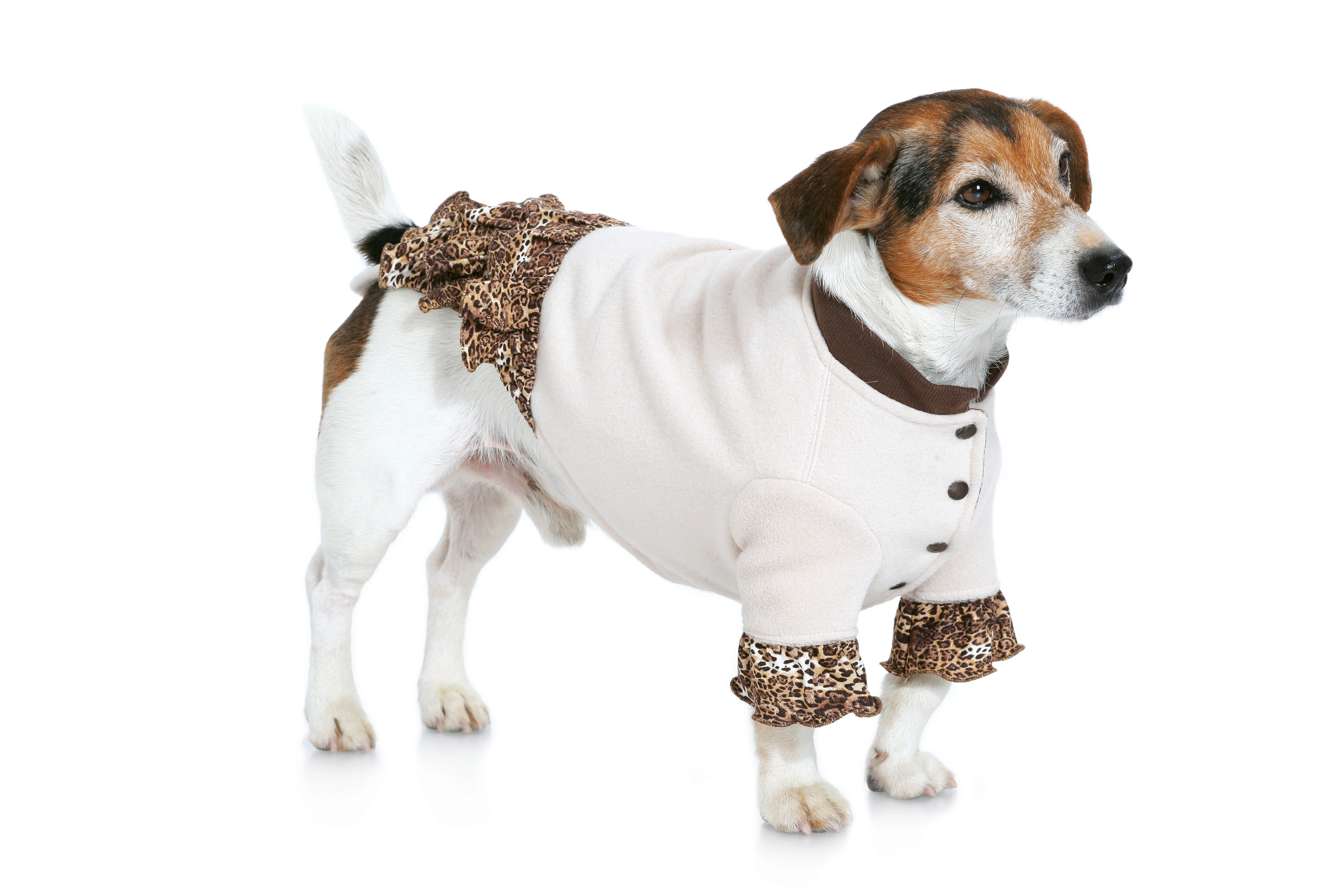 Patron n°7752 : Manteau pour chien - Image 7
