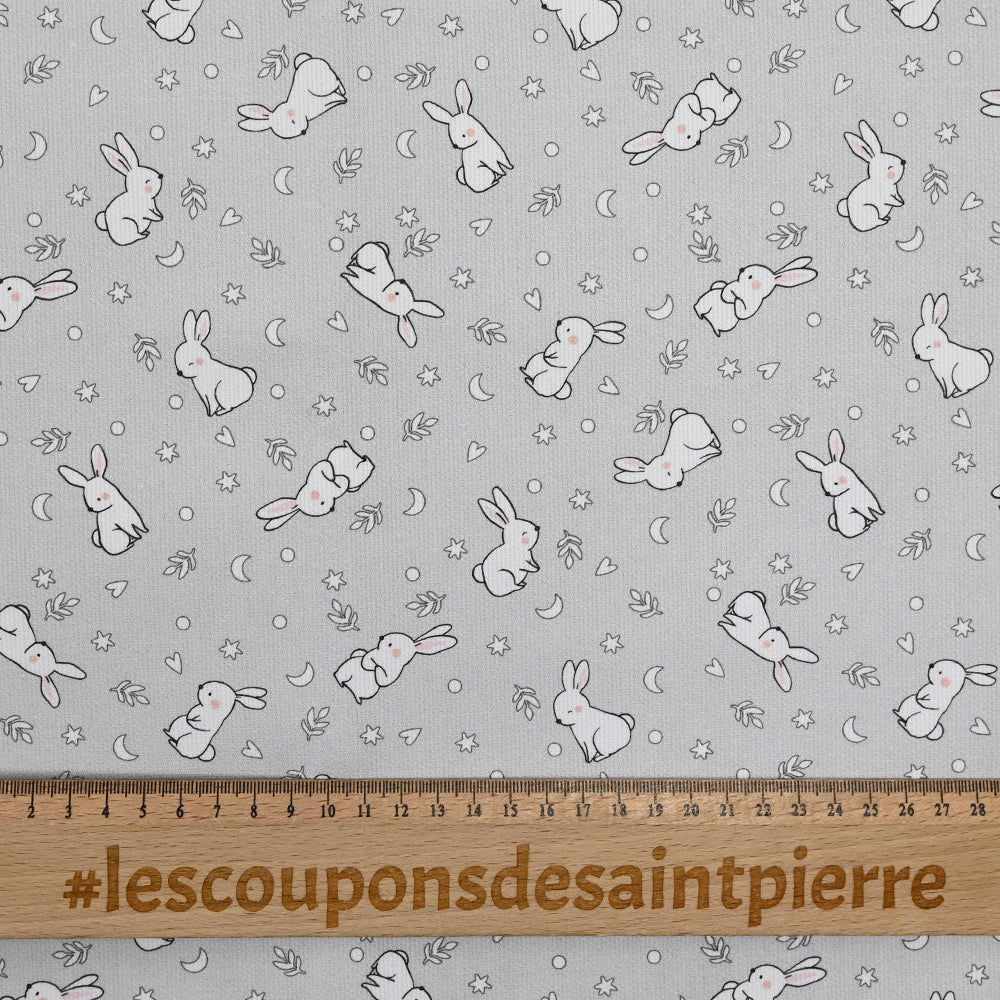 Piqué de coton imprimé jeune lapin fond gris - Image 3