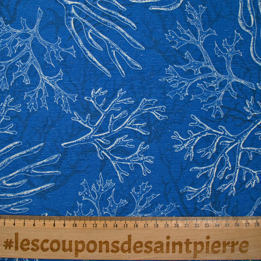 Polycoton imprimé corail fond bleu - Image 3